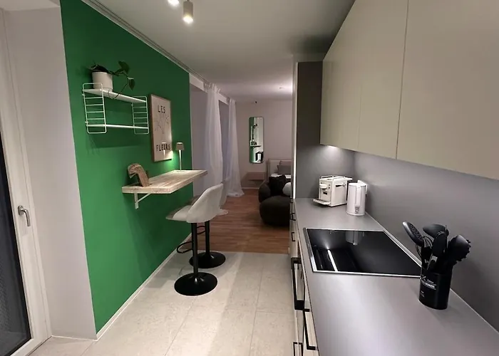 Apartment Modernes Inkl Garage Und Balkon Linz