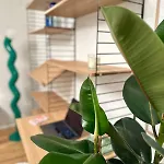 Modernes Inkl Garage Und Balkon *